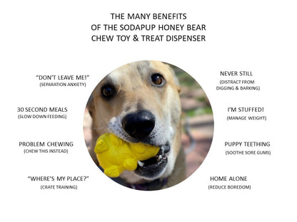 HONEY BEAR TREAT DISPENSERS