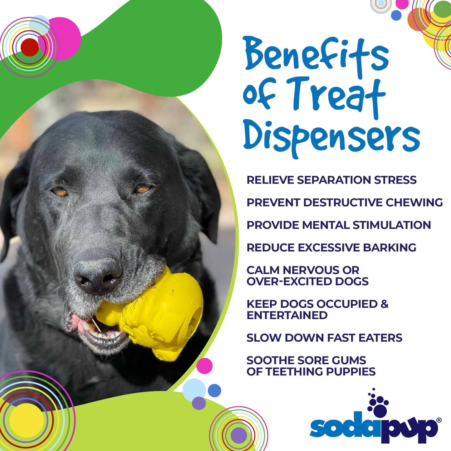 HONEY BEAR TREAT DISPENSERS