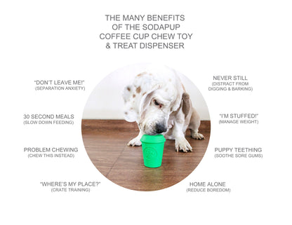 COFFEE CUP TREAT DISPENSERS