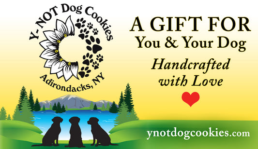 Y-NOT Dog Cookies Gift Card!